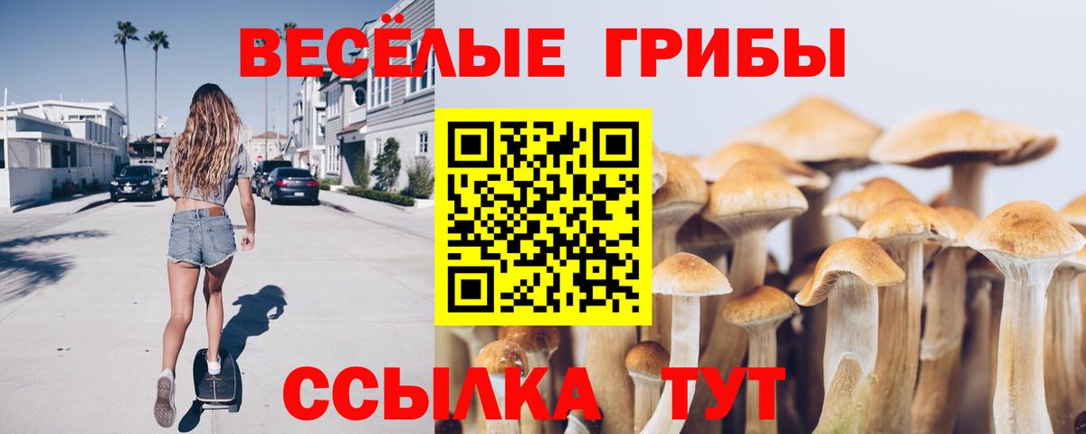 Псилоцибиновые грибы Magic Shrooms  Вход с VPN  Вятские Поляны 
